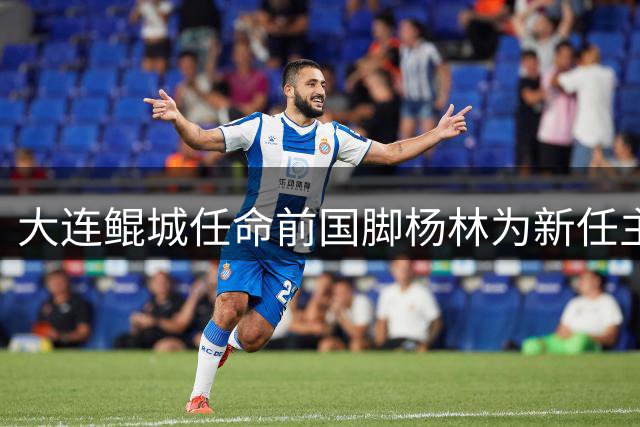 大连鲲城任命前国脚杨林为新任主教练