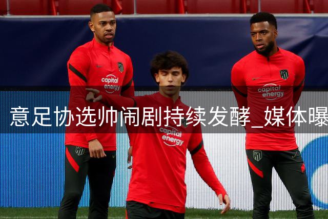意足协选帅闹剧持续发酵 媒体曝马拉戈陷信任危机